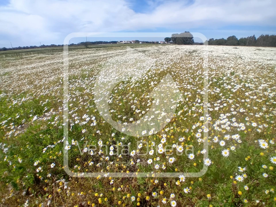 Quinta T1 para Venda em Canha Foto 1