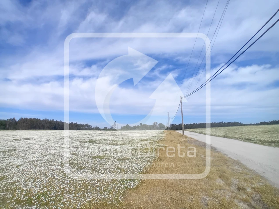 Quinta T1 para Venda em Canha Foto 2