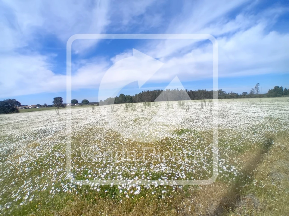 Quinta T1 para Venda em Canha Foto 3