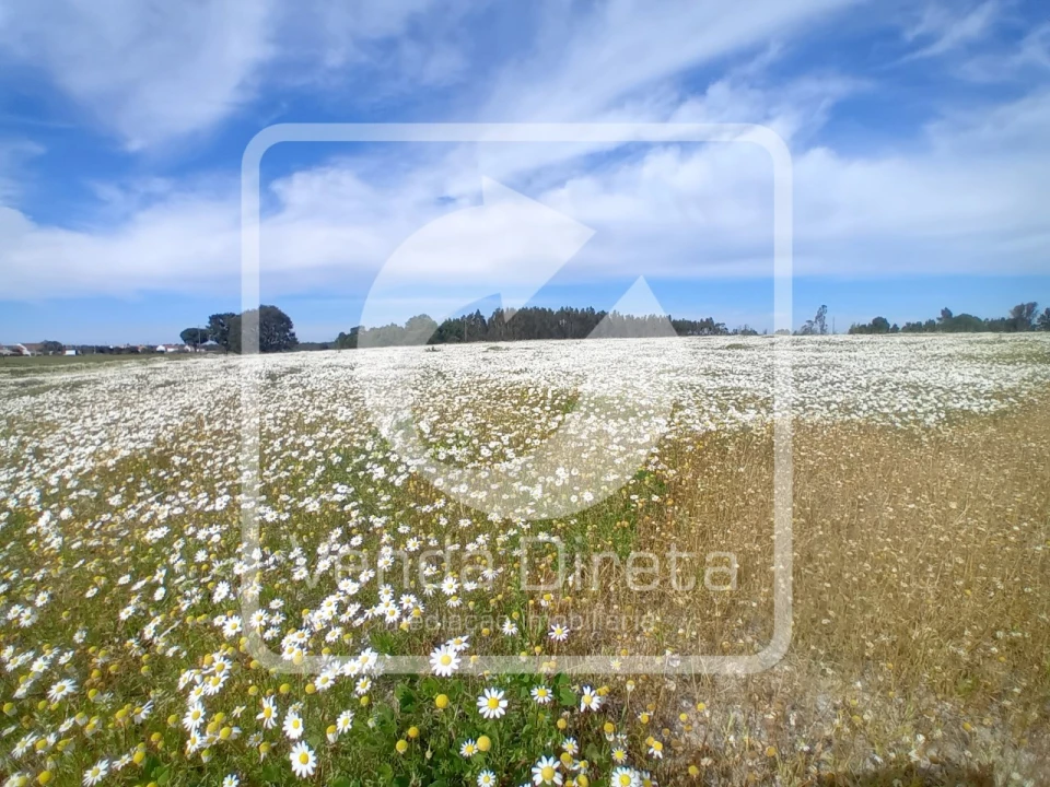 Quinta T1 para Venda em Canha Foto 4