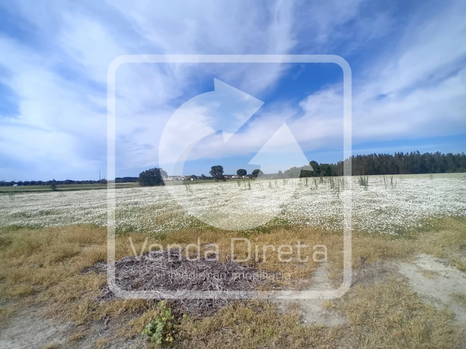 Quinta T1 para Venda em Canha Foto 5