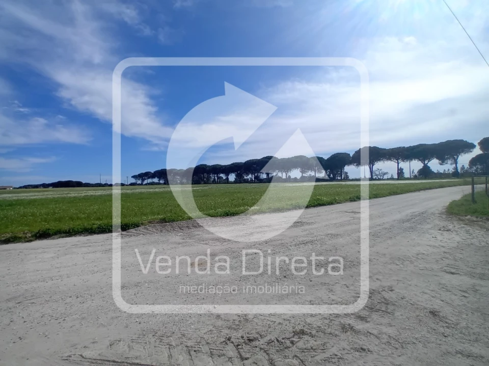 Quinta T1 para Venda em Canha Foto 6