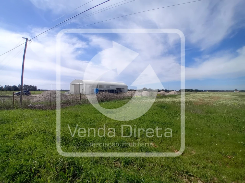 Quinta T1 para Venda em Canha Foto 7