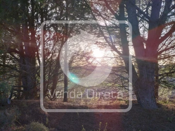 Quinta T1 para Venda em Canha