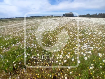 Quinta T1 para Venda em Canha