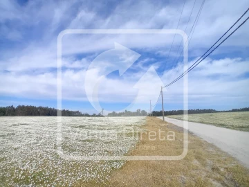 Quinta T1 para Venda em Canha