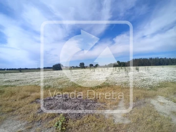 Quinta T1 para Venda em Canha