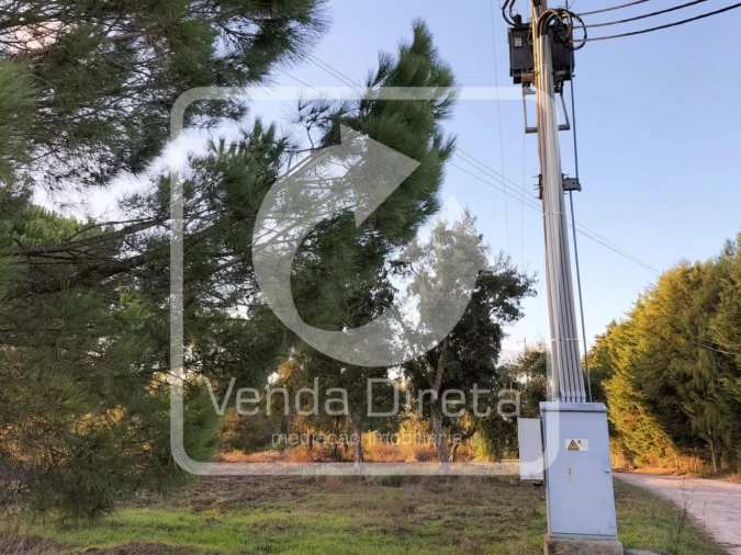 Quinta T1 para Venda em Canha Foto 22