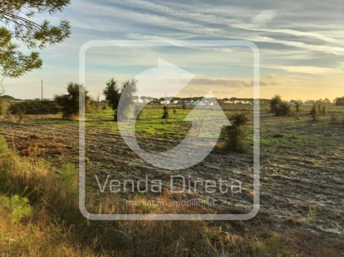 Quinta T1 para Venda em Canha Foto 25