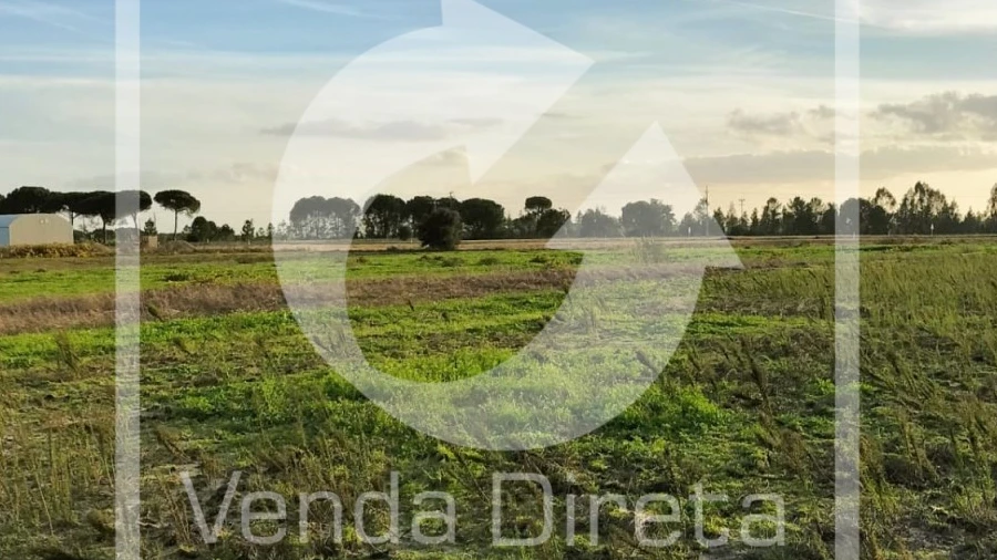 Quinta T1 para Venda em Canha