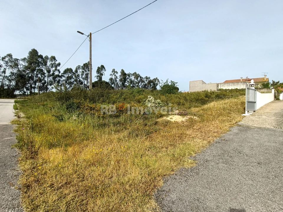 Terreno para Venda em Asseiceira Foto 2