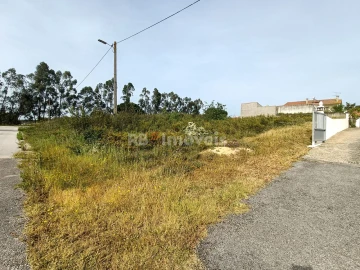 Terreno para Venda em Asseiceira