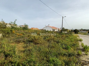 Terreno para Venda em Asseiceira