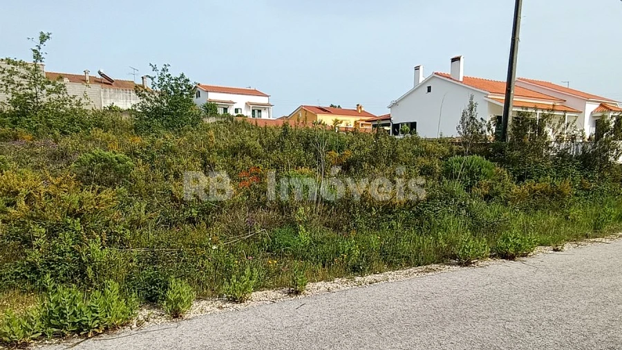 Terreno para Venda em Asseiceira