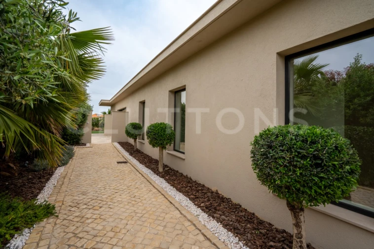 Moradia T3 para Venda em Montenegro Foto 61