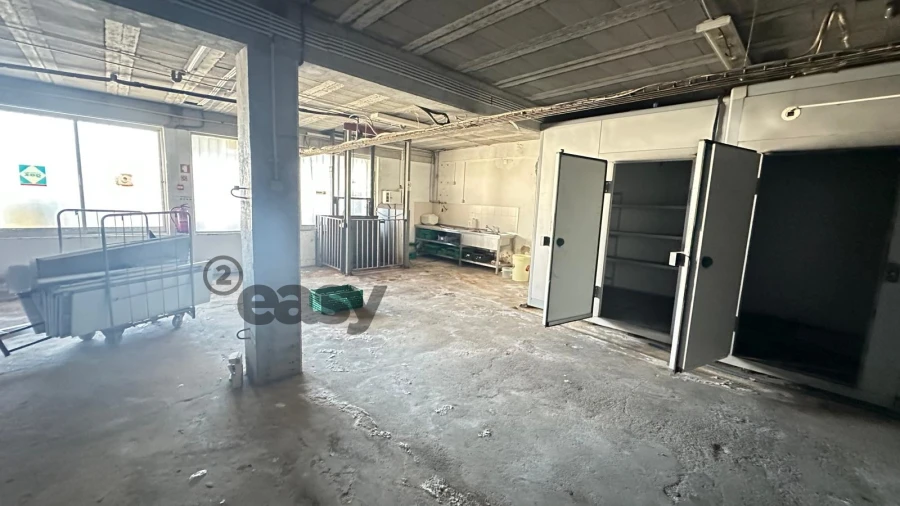 Loja para Venda em Portel Foto 9