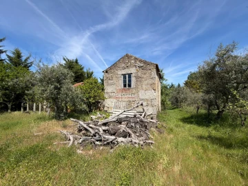 Quinta T0 para Venda em Paços da Serra