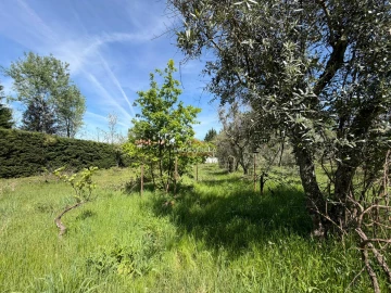 Quinta T0 para Venda em Paços da Serra