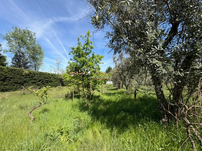 Quinta T0 para Venda em Paços da Serra Foto 9