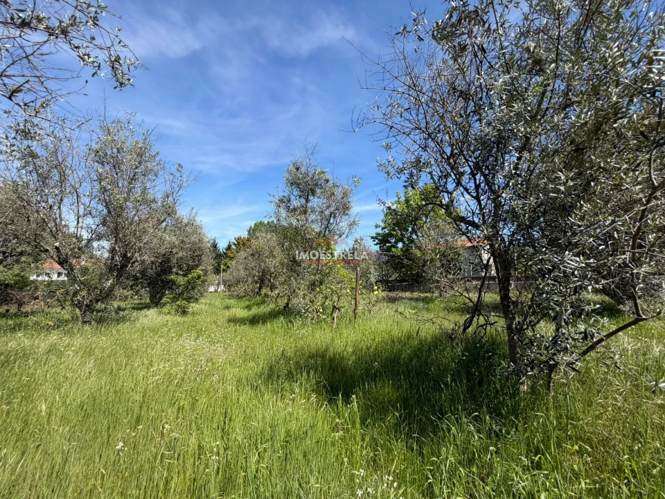 Quinta T0 para Venda em Paços da Serra Foto 7