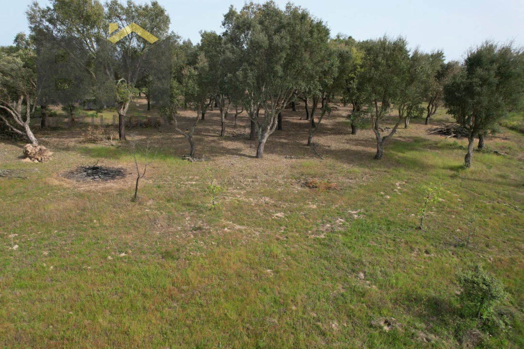 Terreno Agricola ou Rústico para Venda em Castelo Branco Foto 6