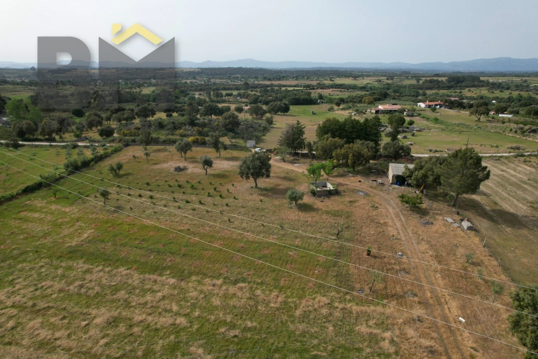 Terreno Agricola ou Rústico para Venda em Castelo Branco Foto 12