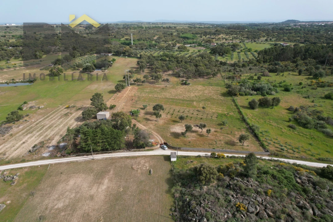 Terreno Agricola ou Rústico para Venda em Castelo Branco Foto 2