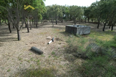 Terreno Agricola ou Rústico para Venda em Castelo Branco