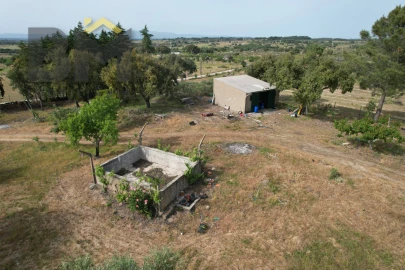 Terreno Agricola ou Rústico para Venda em Castelo Branco