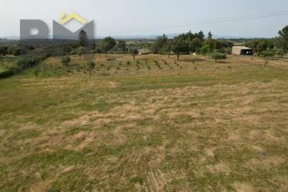 Terreno Agricola ou Rústico para Venda em Castelo Branco