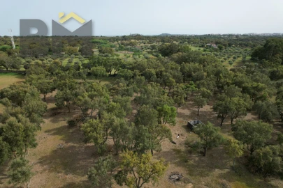 Terreno Agricola ou Rústico para Venda em Castelo Branco