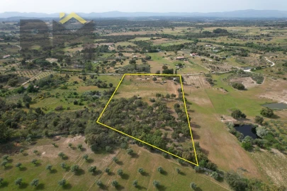 Terreno Agricola ou Rústico para Venda em Castelo Branco