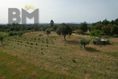 Terreno Agricola ou Rústico para Venda em Castelo Branco