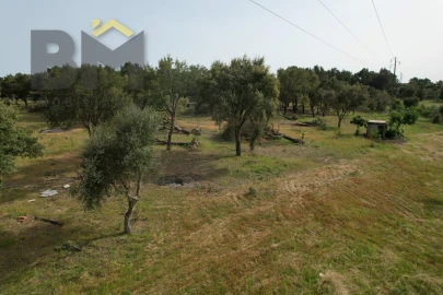 Terreno Agricola ou Rústico para Venda em Castelo Branco
