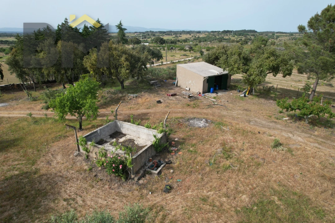 Terreno Agricola ou Rústico para Venda em Castelo Branco Foto 3