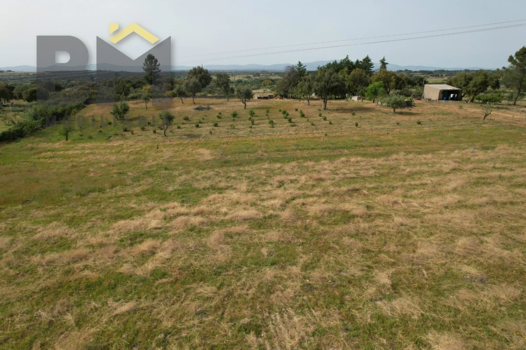 Terreno Agricola ou Rústico para Venda em Castelo Branco Foto 8