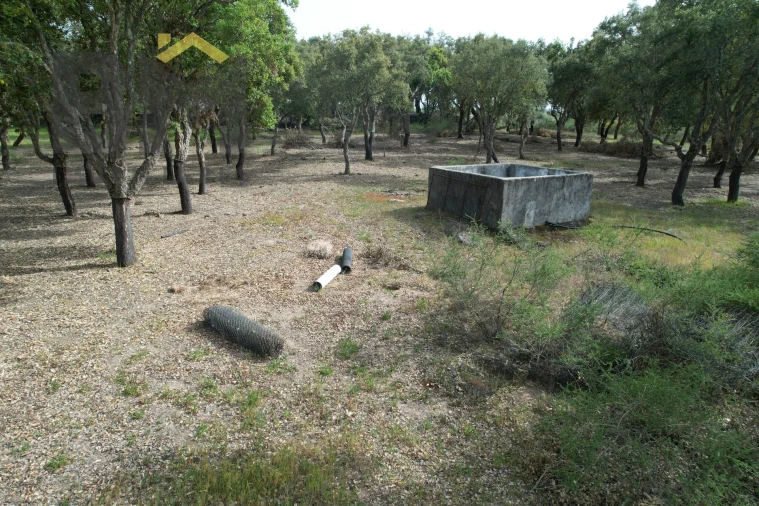 Terreno Agricola ou Rústico para Venda em Castelo Branco Foto 5