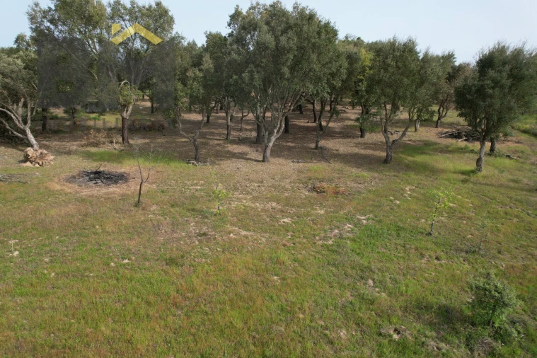 Terreno Agricola ou Rústico para Venda em Castelo Branco Foto 6