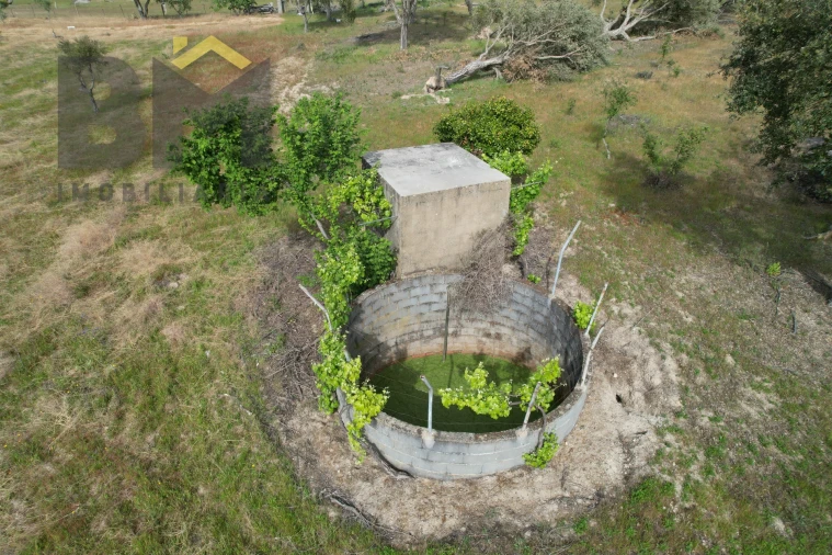 Terreno Agricola ou Rústico para Venda em Castelo Branco Foto 7