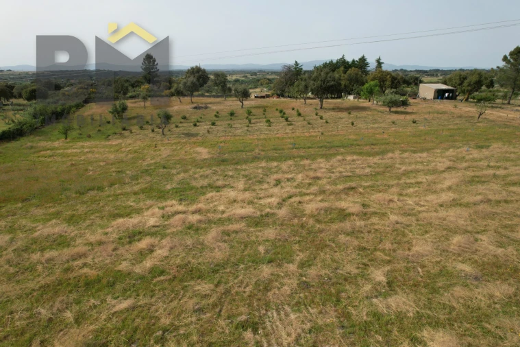 Terreno Agricola ou Rústico para Venda em Castelo Branco Foto 8