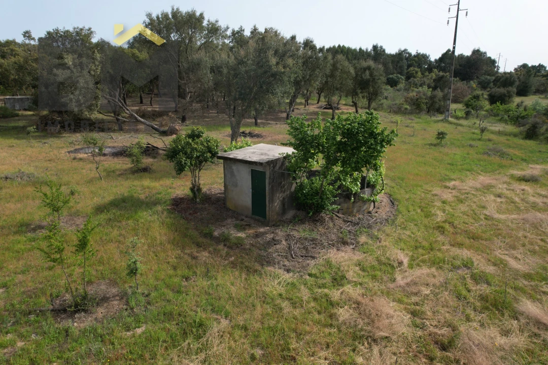 Terreno Agricola ou Rústico para Venda em Castelo Branco Foto 4