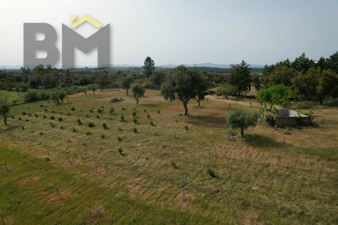 Terreno Agricola ou Rústico para Venda em Castelo Branco Foto 10