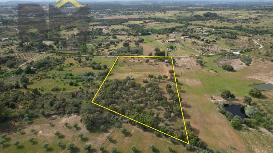 Terreno Agricola ou Rústico para Venda em Castelo Branco