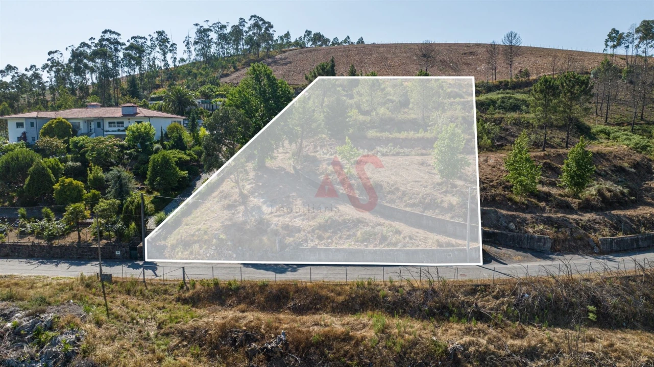 Terreno para Venda em Idães Foto 5