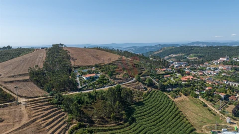 Terreno para Venda em Idães