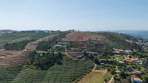 Terreno para Venda em Idães