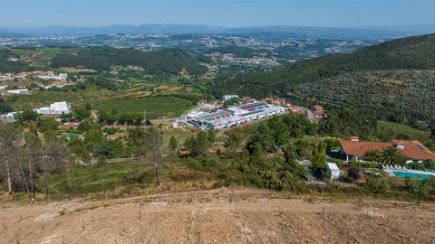 Terreno para Venda em Idães