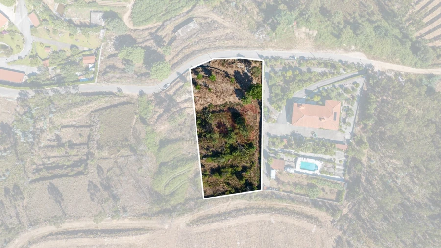 Terreno para Venda em Idães Foto 2