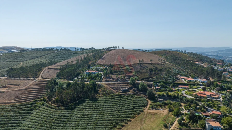 Terreno para Venda em Idães Foto 6