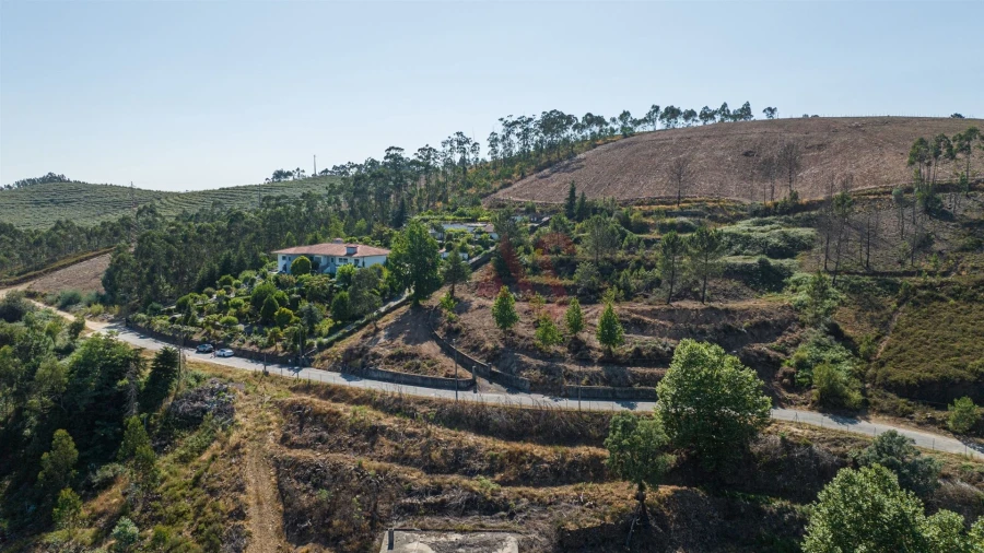 Terreno para Venda em Idães Foto 14